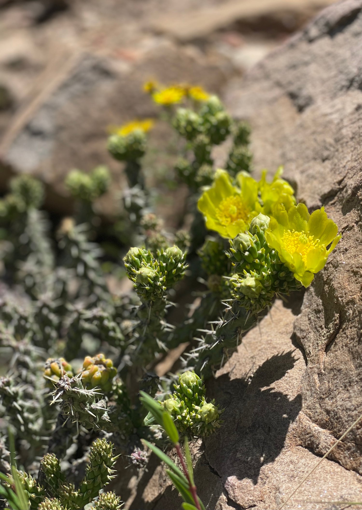 THOUGHTFUL OUTDOOR SPACES, DESIGNED FOR YOU